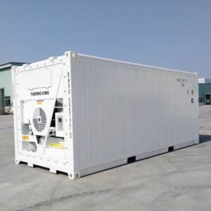 Container refrigerato da 20 piedi