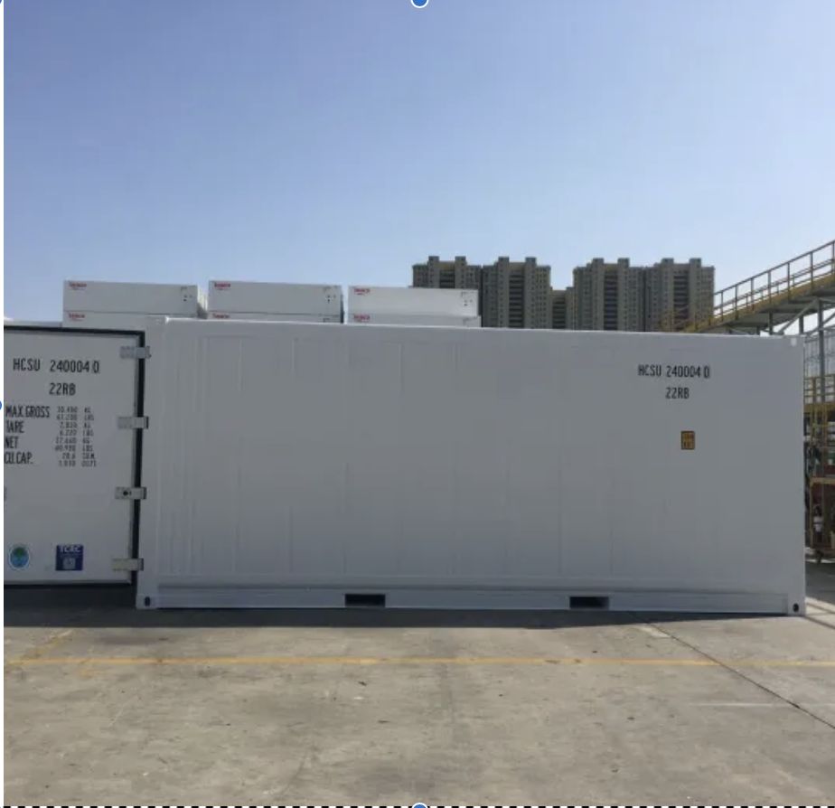 Contenitore refrigerato isolato
